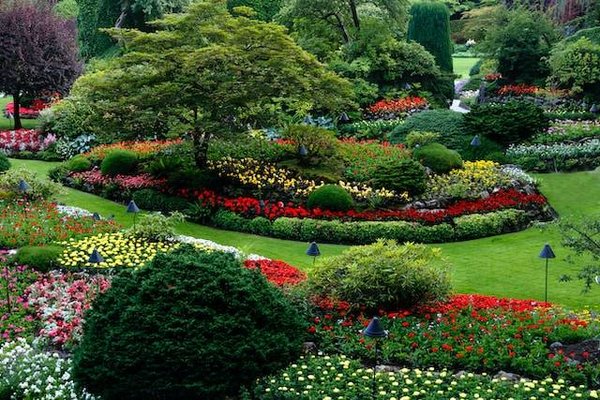 Les astuces d'un paysagiste Pays basque pour économiser l'eau et l'énergie dans votre jardin