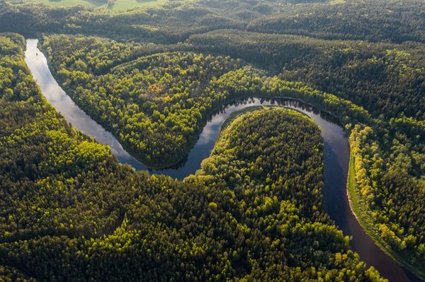 Qu'est-ce que l'écologie et pourquoi est-elle importante ?